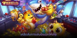 เคล็ดลับการเล่นยิงปลาให้เก่ง
